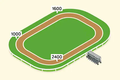 競馬の距離：さまざまなレース距離とカテゴリーの理解