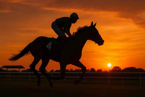 馬は何年レースに出られるのか？競走馬のキャリアの長さについての洞察