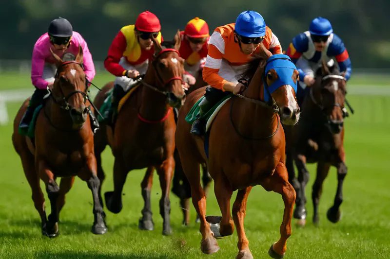 骑师在绿草如茵的赛道上全速奔跑的实时赛马场景