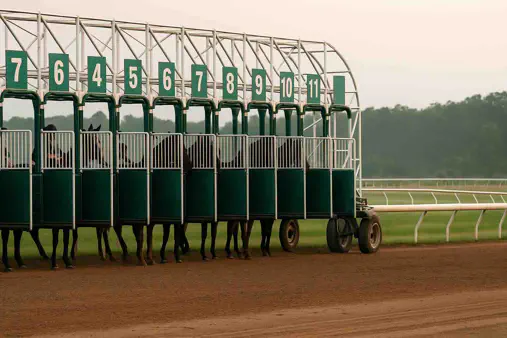 Sorteos de barreras explicados: estadísticas y estrategias para cada hipódromo importante