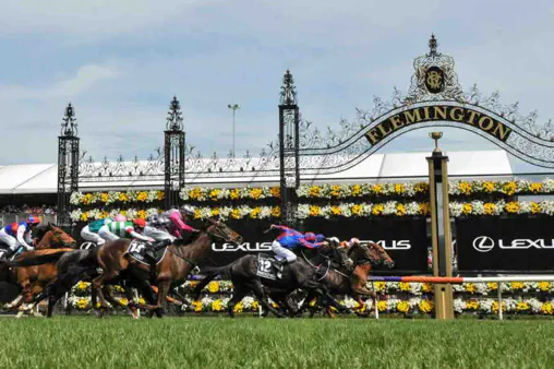 Guía de Apuestas para la Melbourne Cup