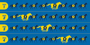 Guía de Apuestas Quaddie: Paso a Paso