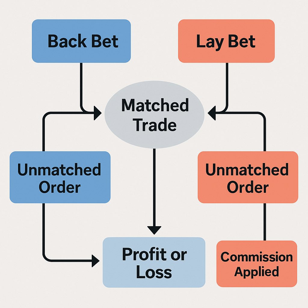 Flowchart of Back vs Lay Process