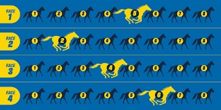 Quaddie Betting Guide: Step-by-Step